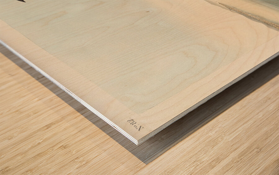 Havells Tern and Trudeaus Tern Wood print