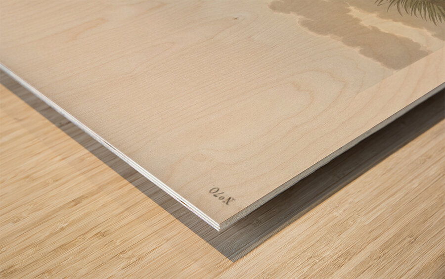 Least Water-hen Wood print