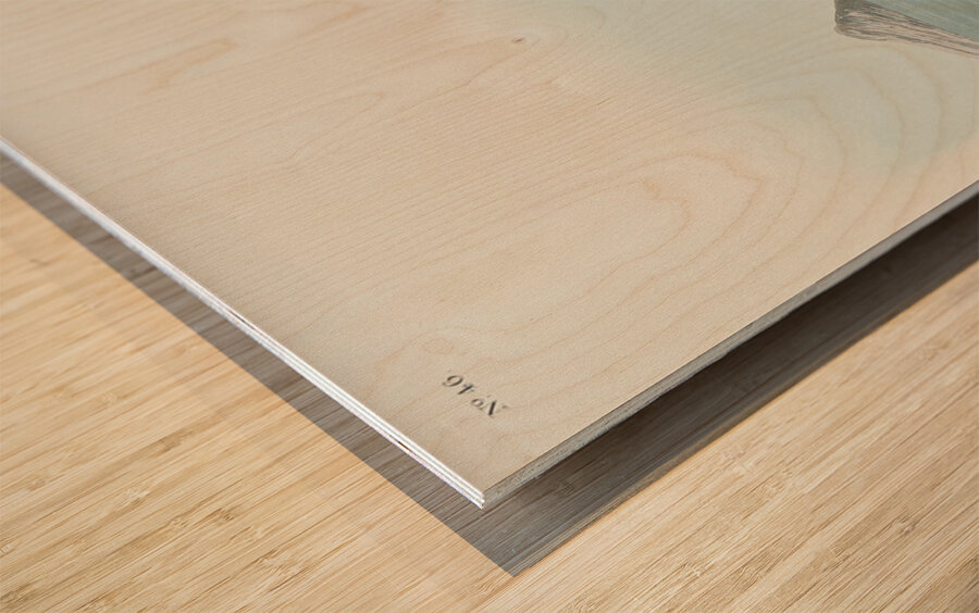 Sanderling Wood print