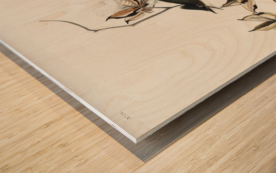 Pewit Flycatcher Wood print