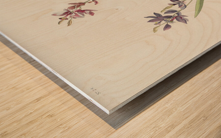 Field Sparrow Wood print