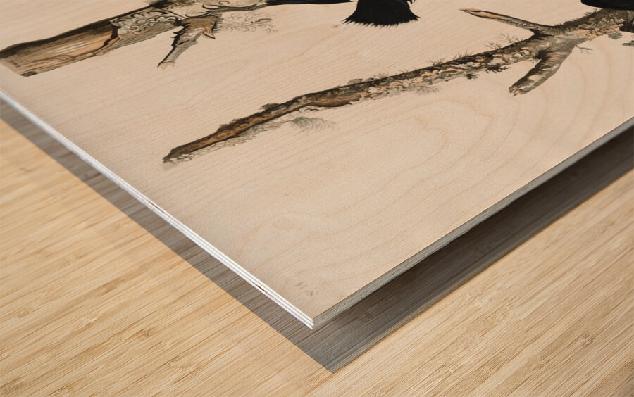 Ivory-billed Woodpecker Wood print