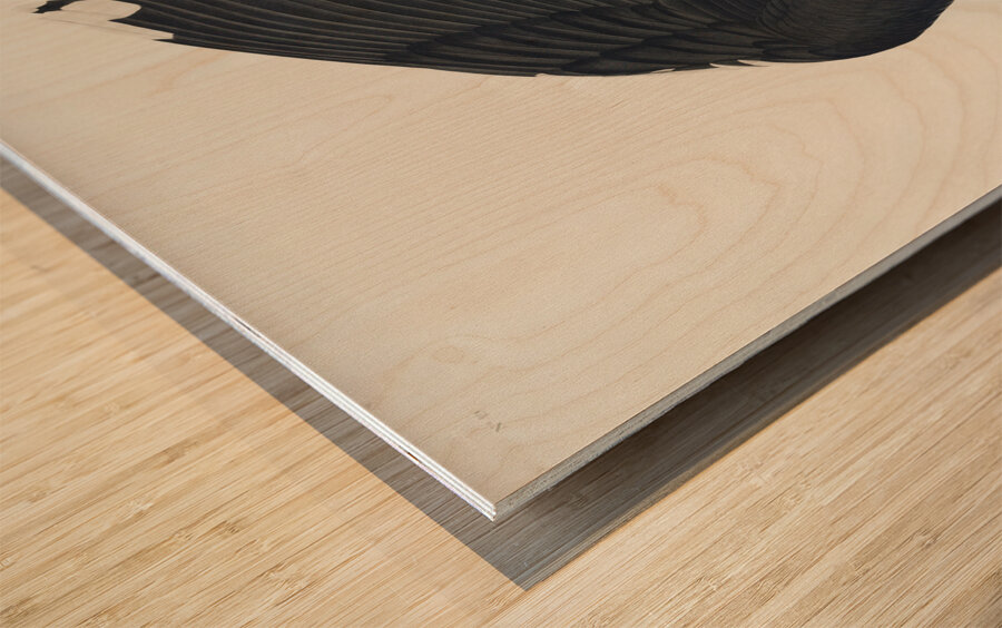 Black Backed Gull Wood print