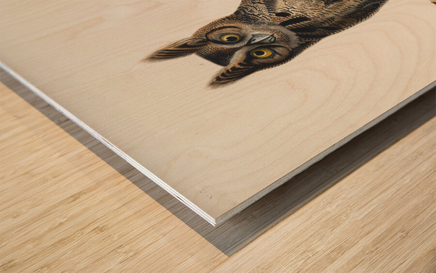 Great Horned Owl Wood print