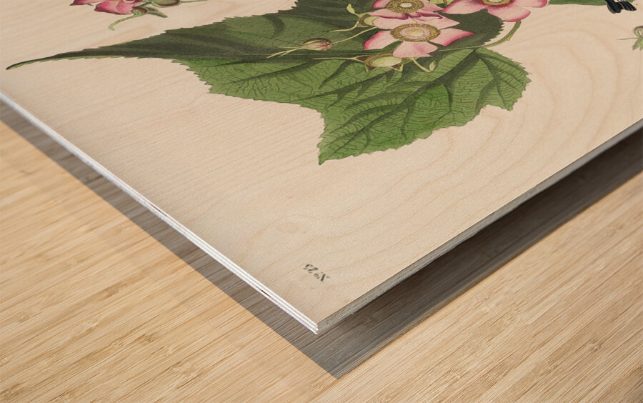 Black & Yellow Warblers Wood print