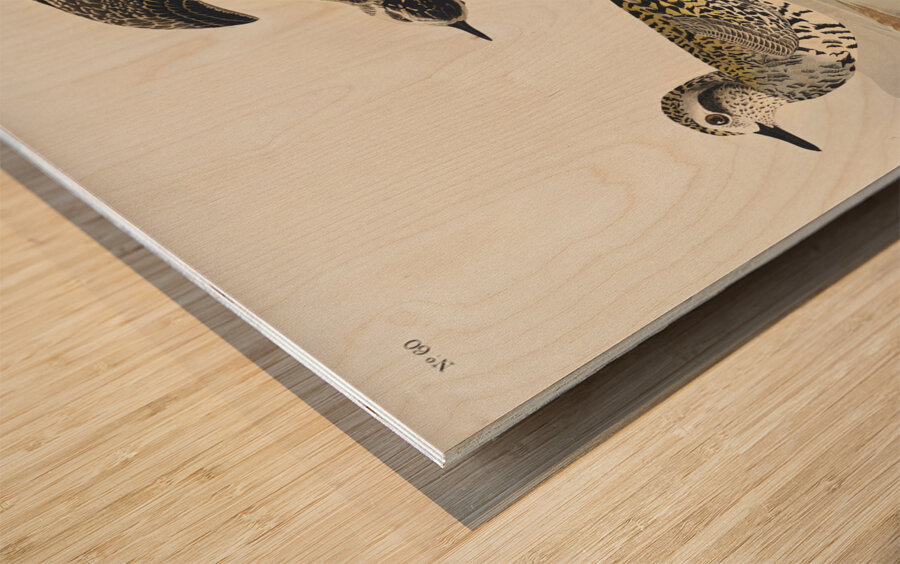 Golden Plover Wood print