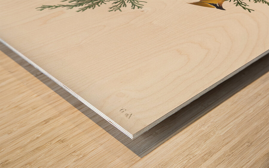 Cedar Bird Wood print