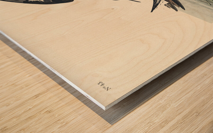 Hyperborean phalarope Impression sur bois