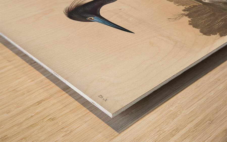 Blue Crane or Heron Wood print