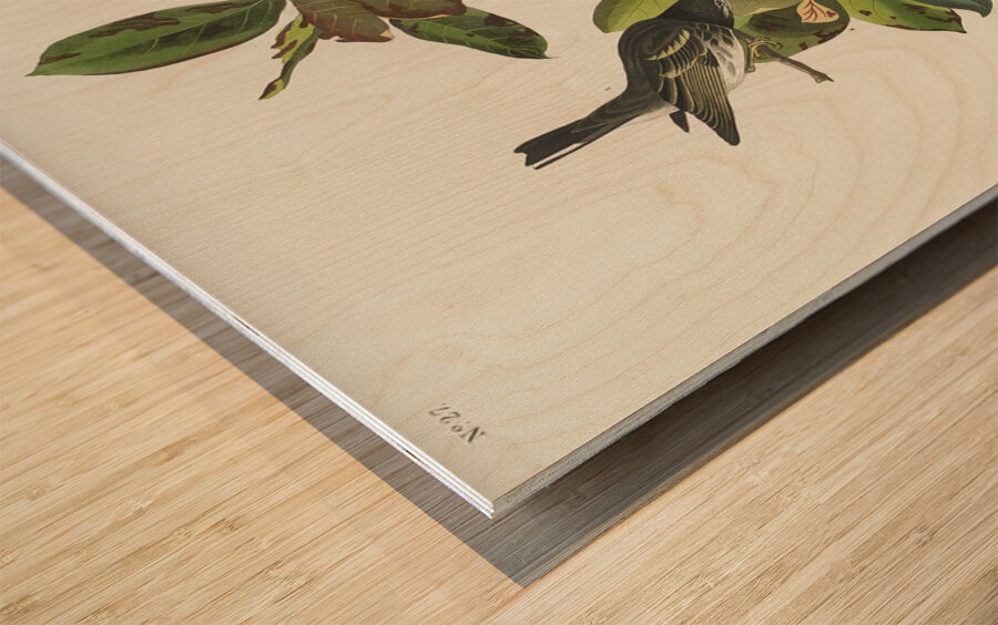 Black-poll Warbler Wood print