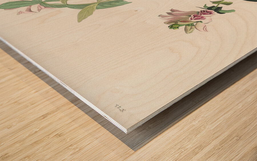 Green Black-Capt Flycatcher Wood print