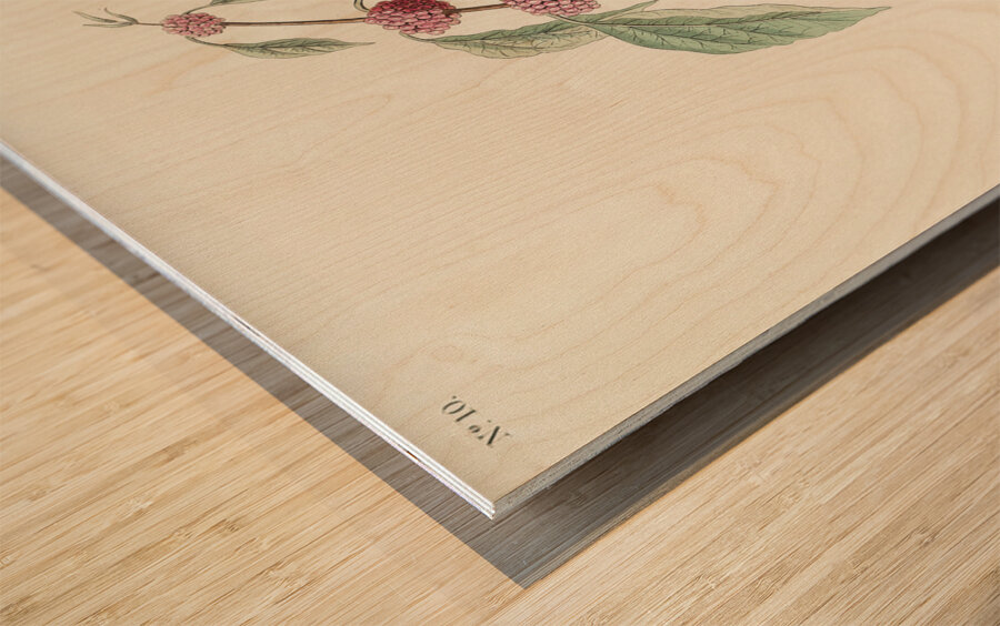 Blue-green Warbler Wood print