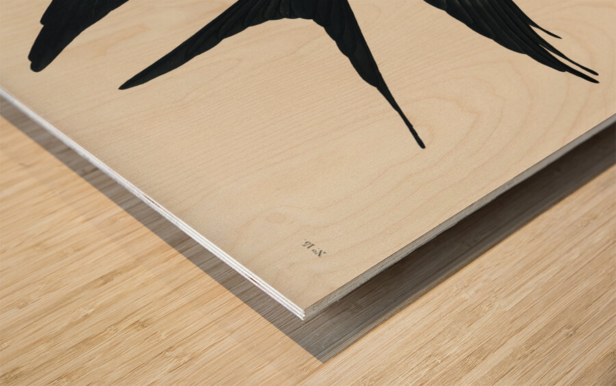 American Magpie Wood print