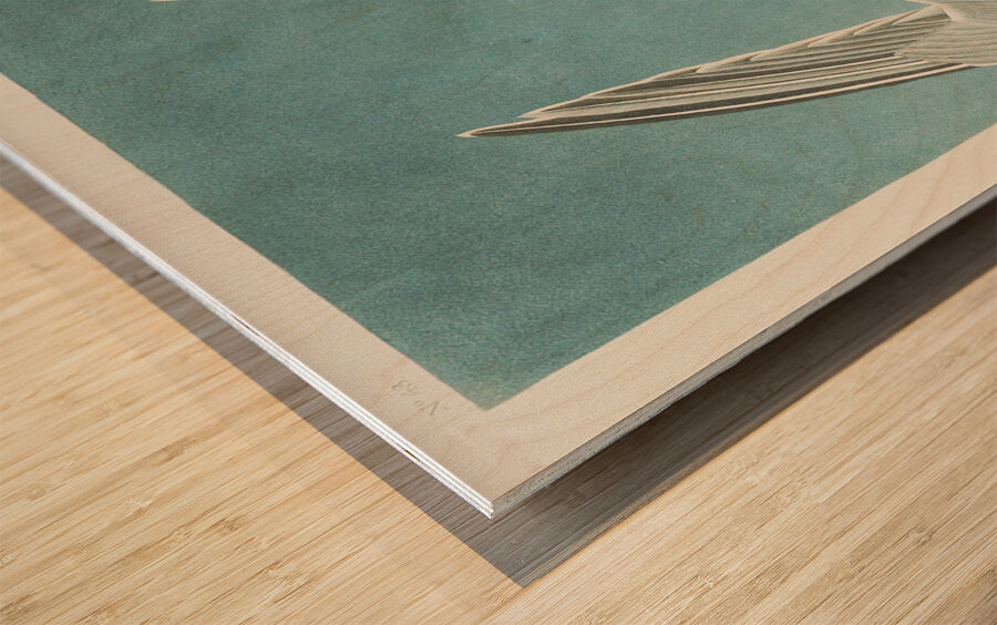 Roseate Tern Wood print