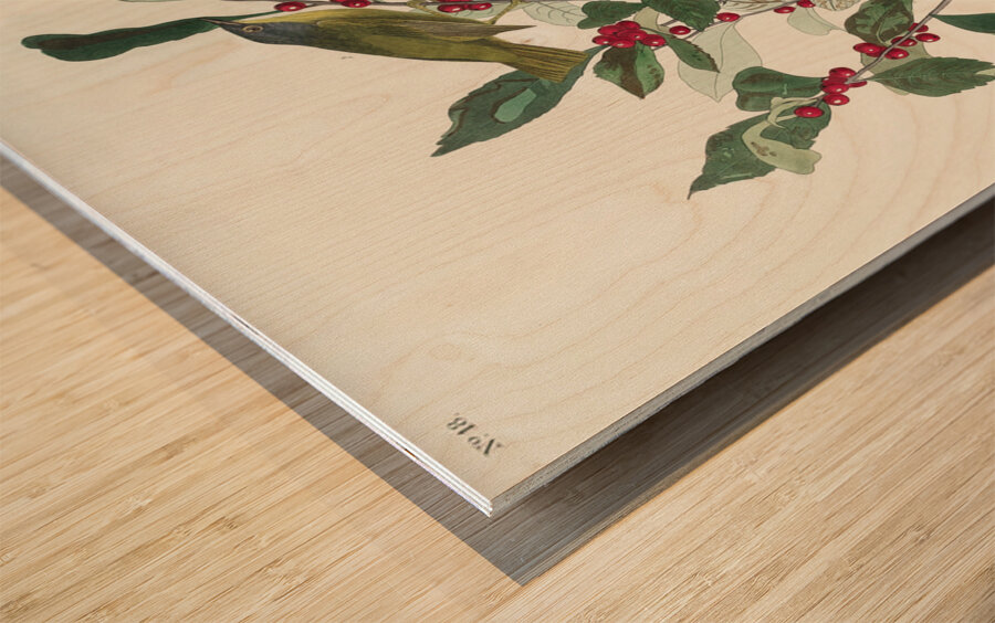 Nashville Warbler Wood print