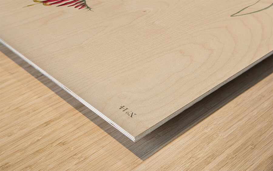 Henslows Bunting Wood print