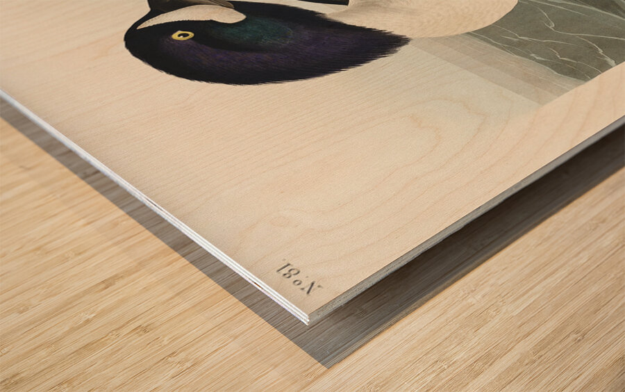 Henslows Bunting Wood print