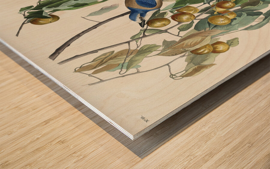 Florida Jay Wood print