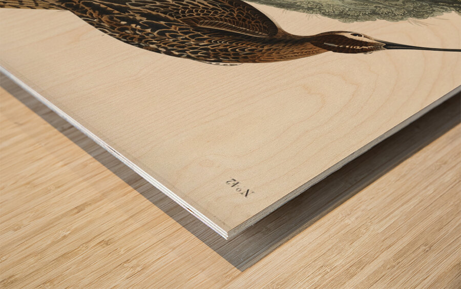 Esquimaux Curlew Wood print