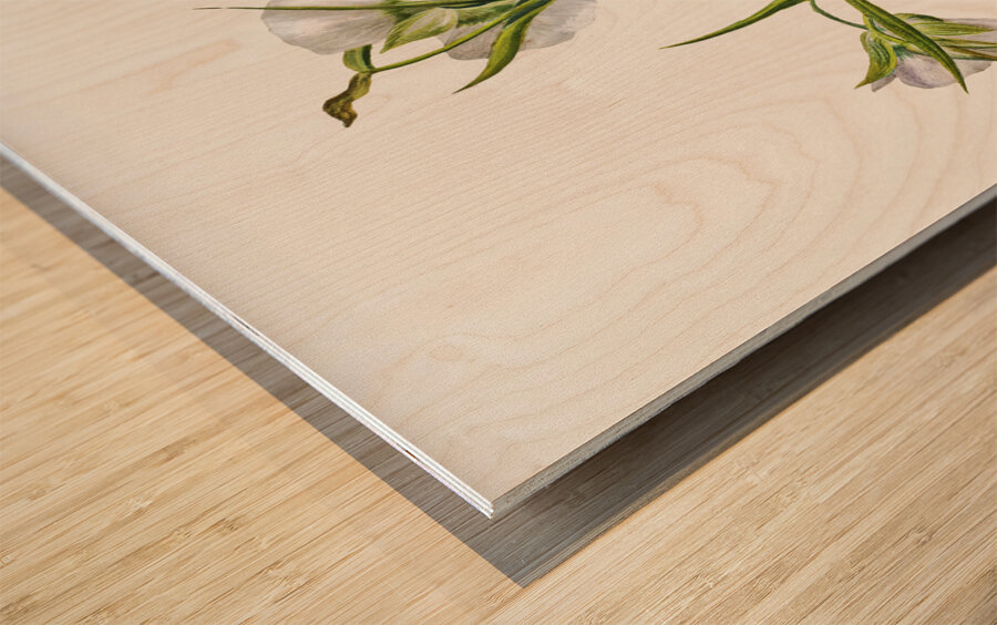 On the Road to Monument 1881 Wood print