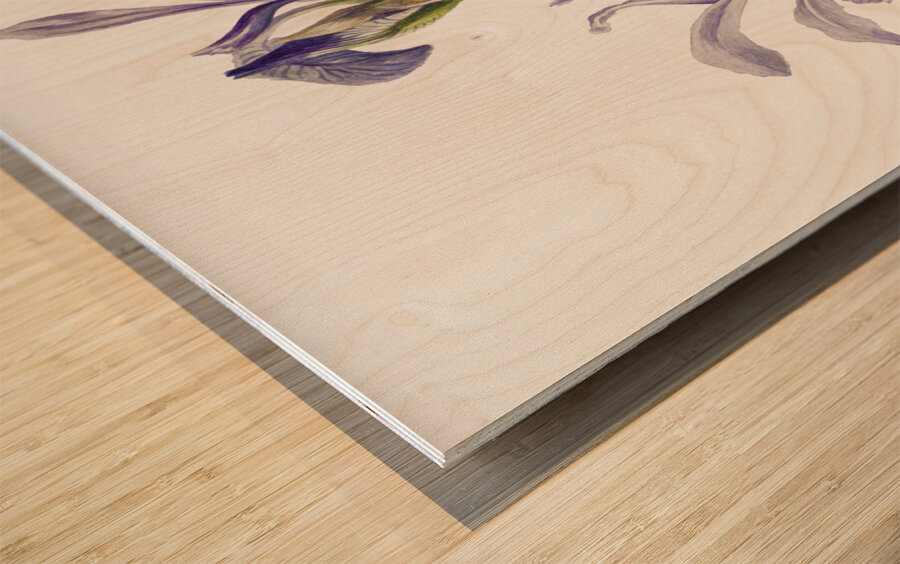 On the Road to Monument 1881 Wood print