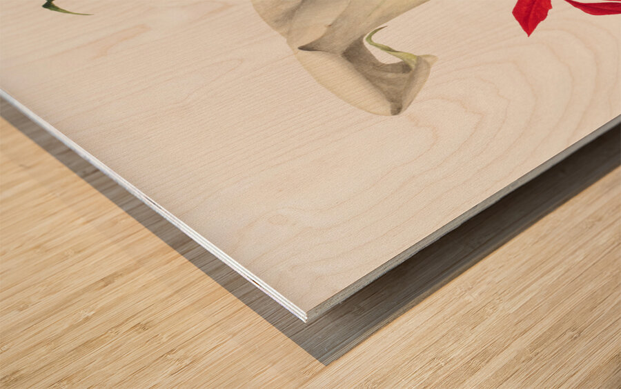 Calla Lily 1877 Wood print