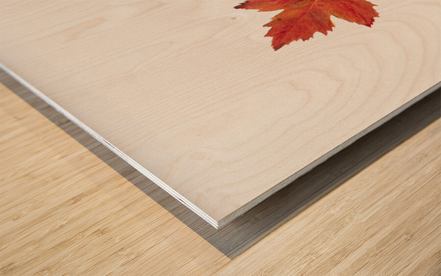 Autumn Leaves 1874 Wood print