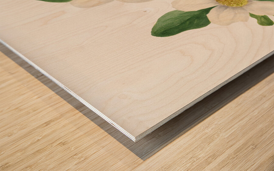 Pacific Dogwood Cornus nuttallii 1933 Impression sur bois