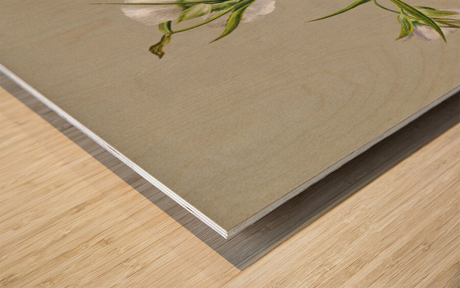 On the Road to Monument 1881 Wood print