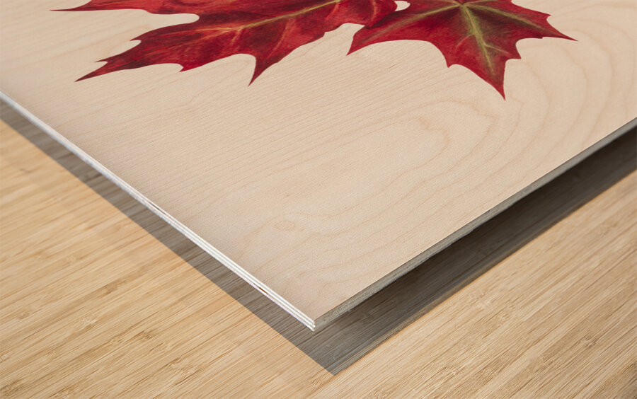 Autumn Leaves 1874  Wood print