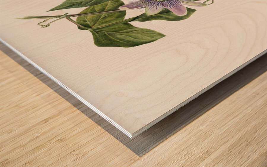 Flower Study 1879 Wood print