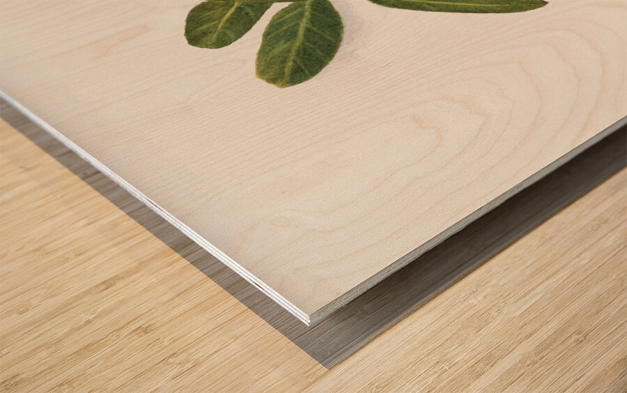 Autumn Leaves 1874 Wood print