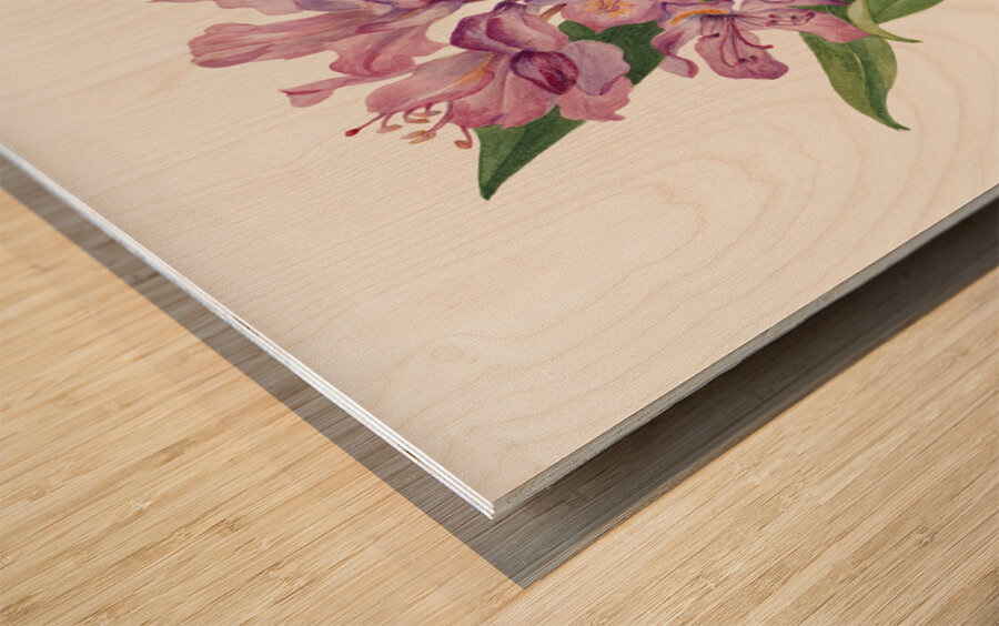 California Rose Bay Rhododendron californicum 1933 Wood print