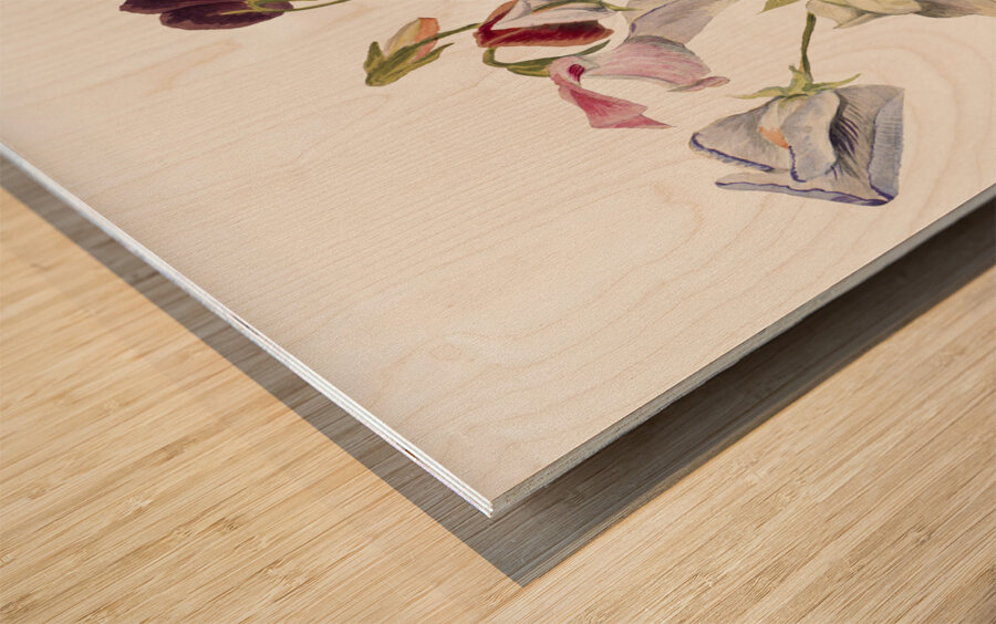 Flower Study 1886 Wood print