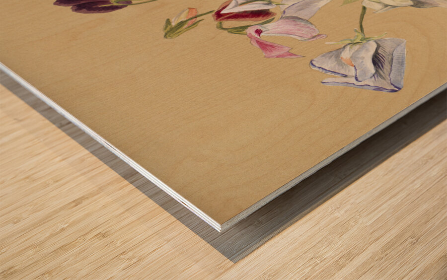 Flower Study 1886  Wood print