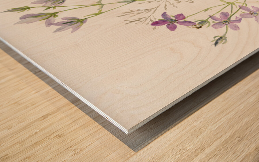 Gentianacease sabbalia angularis 1880 Wood print