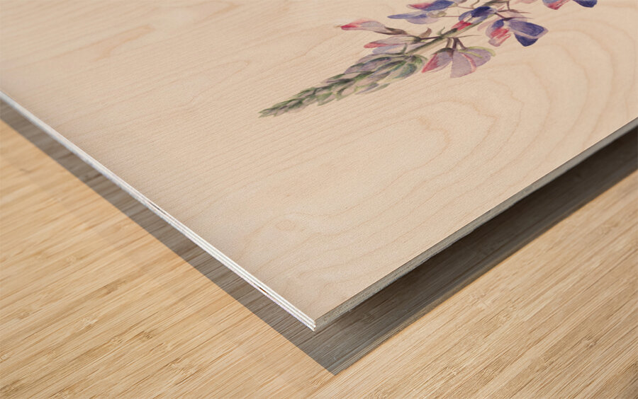 Lupine Lupinus fornosus 1935 Wood print