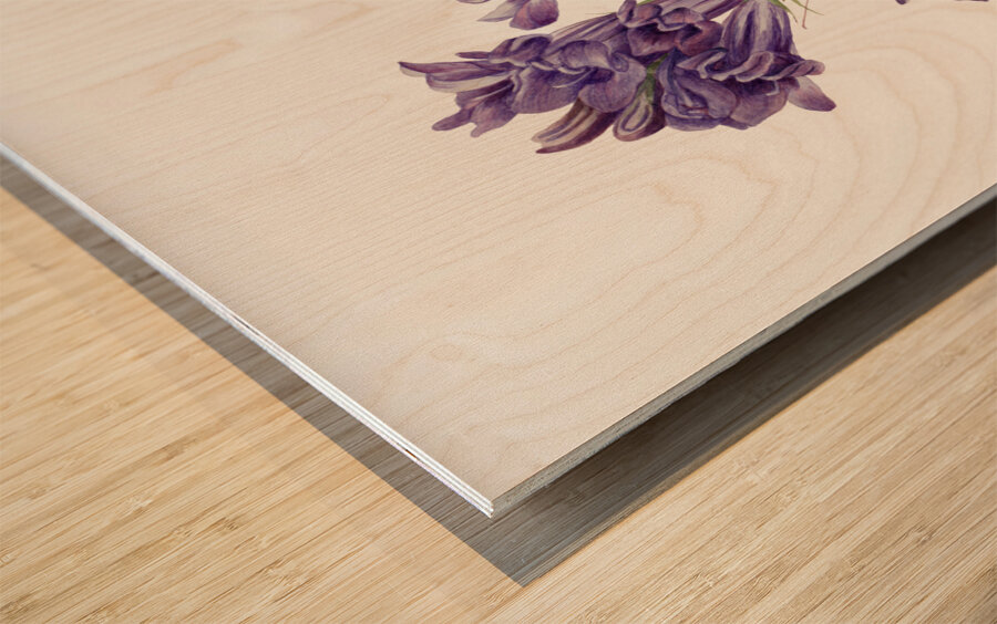 Rose Mallow Hibiscus moscheutos 1878 Wood print