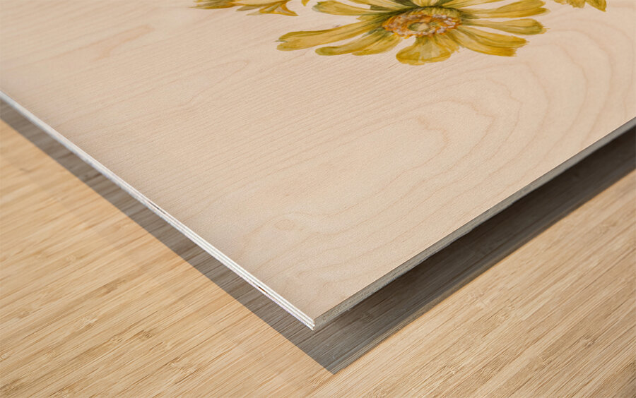 Cylindropuntia whipplei 1938 Wood print