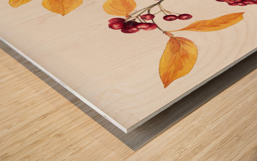 Red Chokeberry Aronia arbutifolia 1920 Wood print