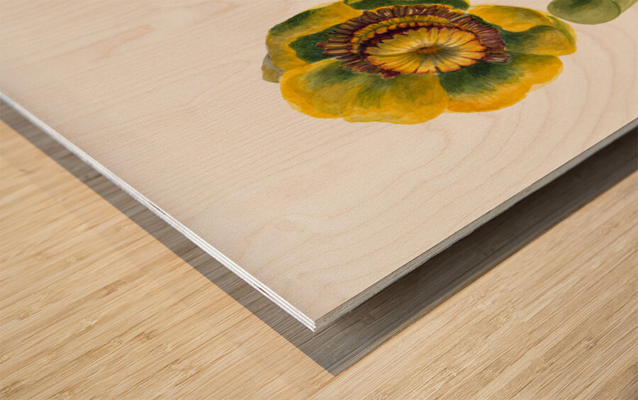 Flower Study 1939 Wood print