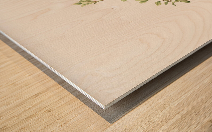 Bearberry Arctostaphylos uva-ursi 1916 Wood print