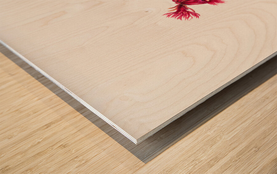 Winterberry Ilex verticillata 1920 Wood print