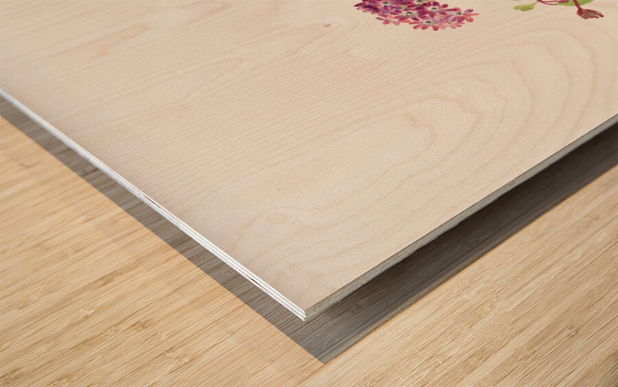 Sand Verbena Abronia umbellata 1936 Wood print