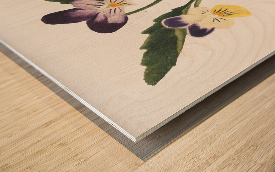 Pansies 1876 Wood print