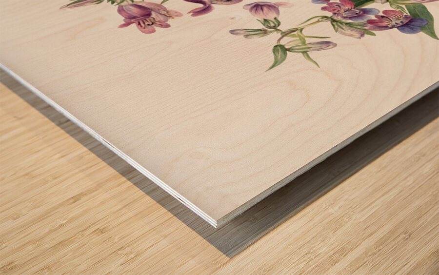 Prairie Pentstemon Pentstemon erianthera 1923 Wood print