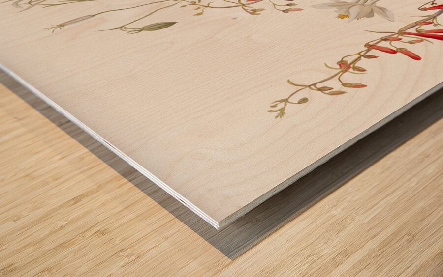 Flower Study 1883–1900 Wood print