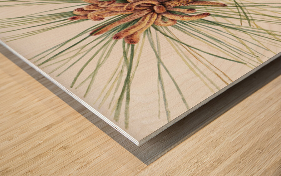 Large Purple Fringe–Orchid Habenaria grandiflora 1926 Wood print