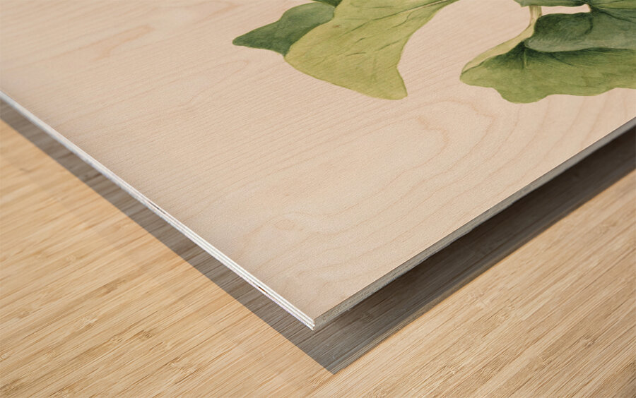 Maypop Passiflora incarnata 1926 Wood print