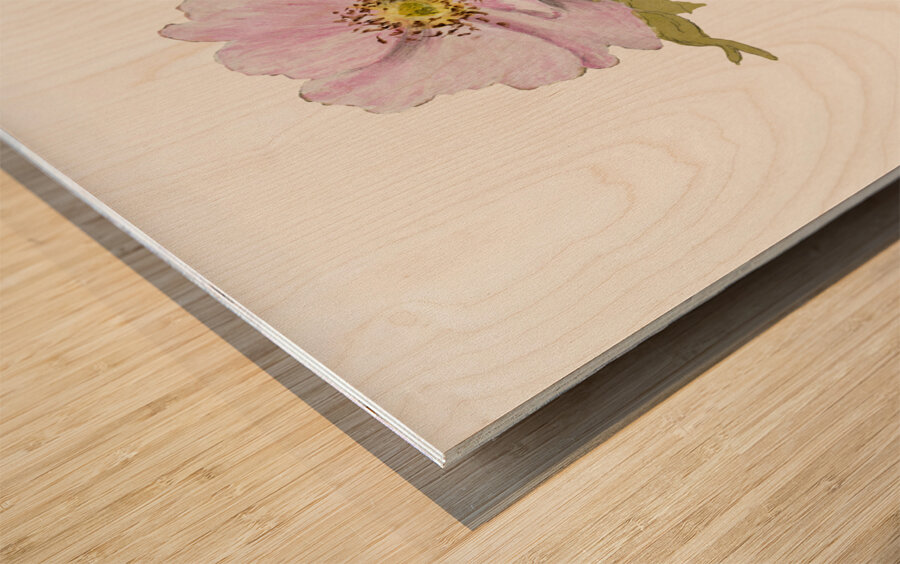 Flower Study 1876–1878 Wood print